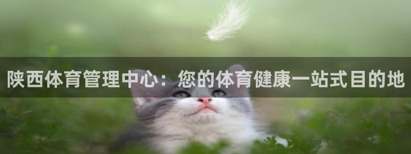 必一体育网页版登录：