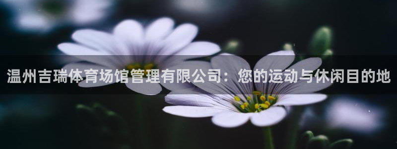 必一体育能提现大金额