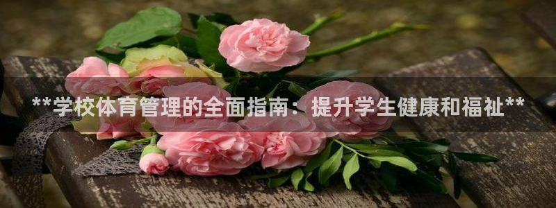 必一体育登录APP下