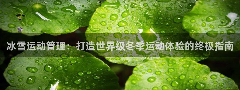 必一体育app官方：