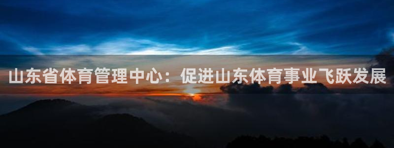 必一体育app官方网