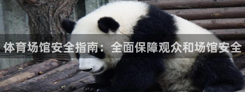 必一体育sport下