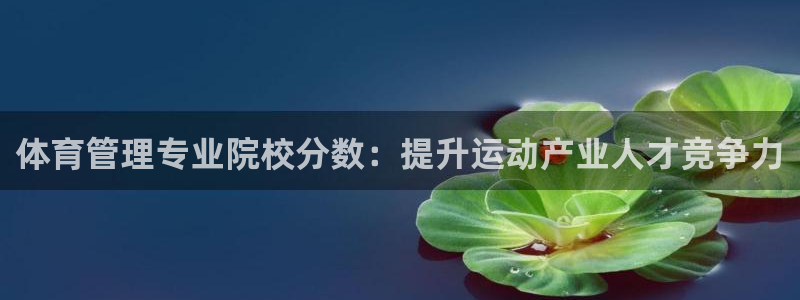 必一体育是哪里的台子