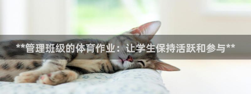 必一运动官网装机吧：