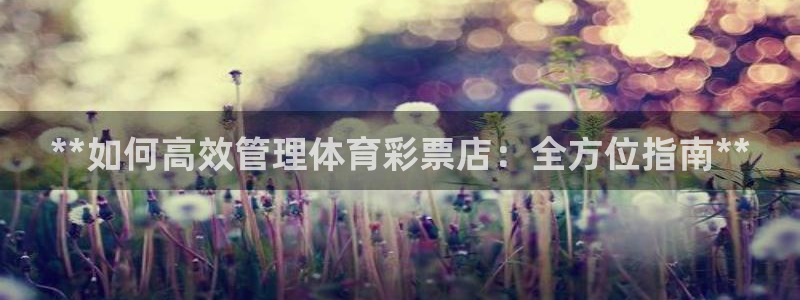 必一体育官方入口：*