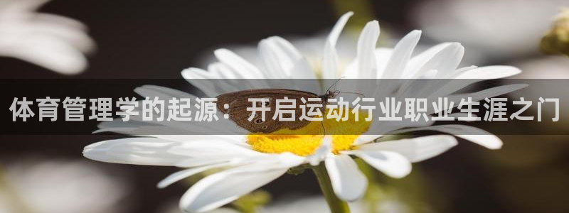 必一体育：体育管理学