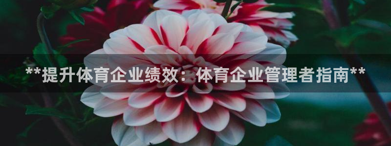 必一体育bsport