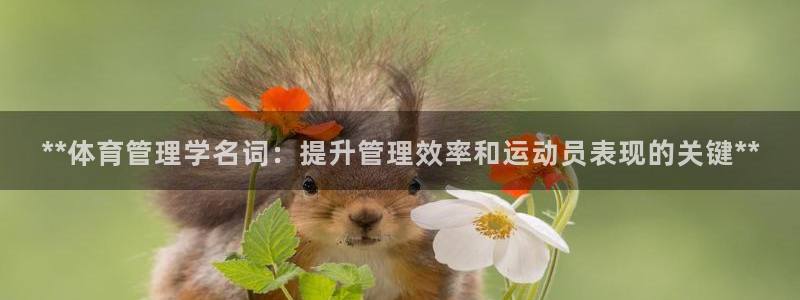 必十二和必一的副作用