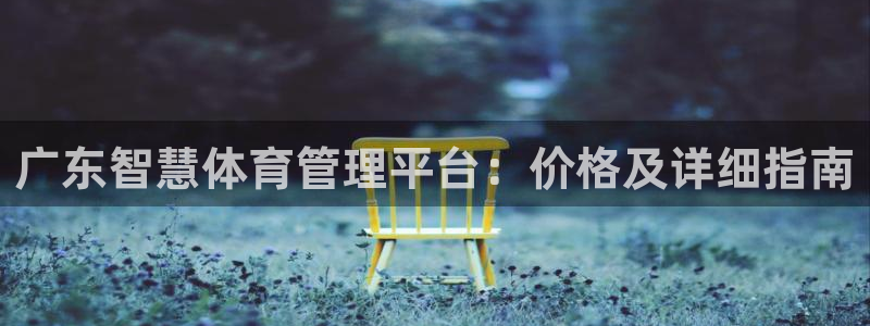 必一体育游戏玩法：广