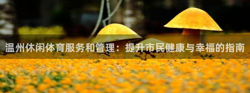 必一运动sport爱