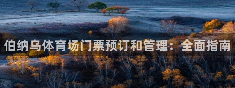 必一运动听的歌：伯纳
