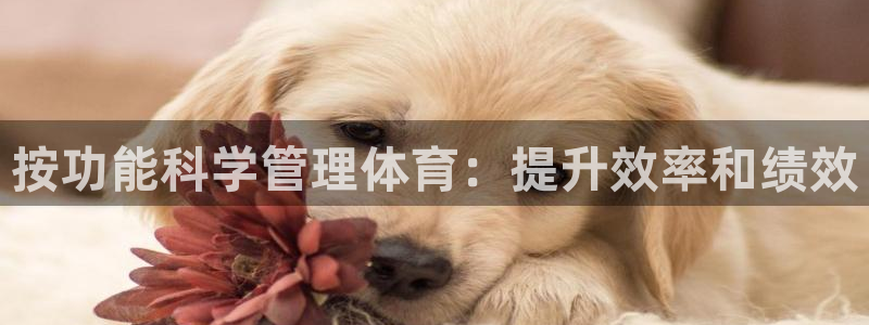 必一体育bsport