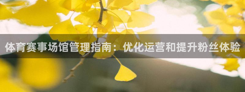 必一体育下载义：体育
