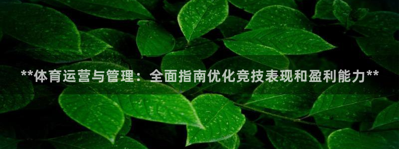b体育必一下载：**