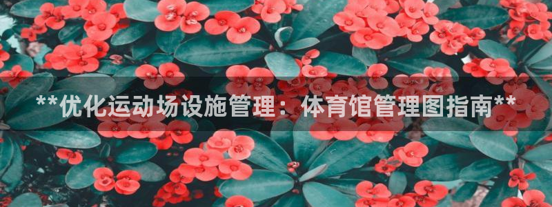 必一体育网页：**优