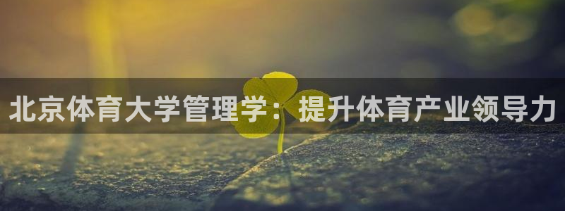 必一体育官网网址：北