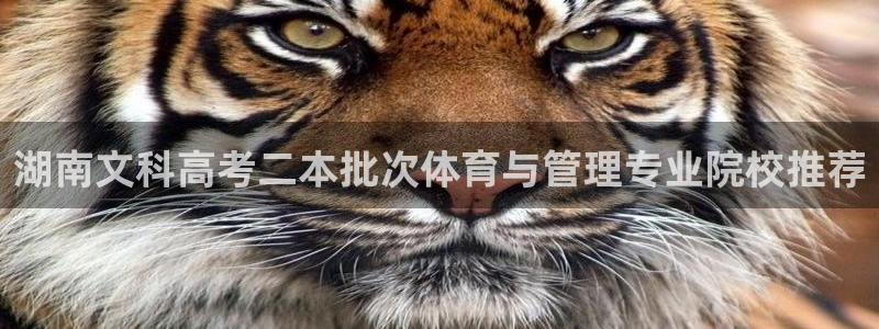 必一体育能提现大金额