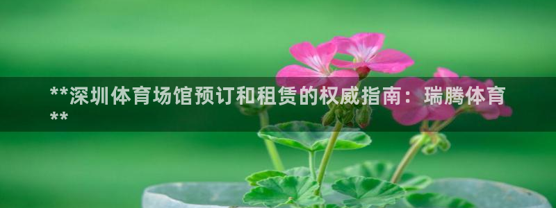 必一体育app官方：