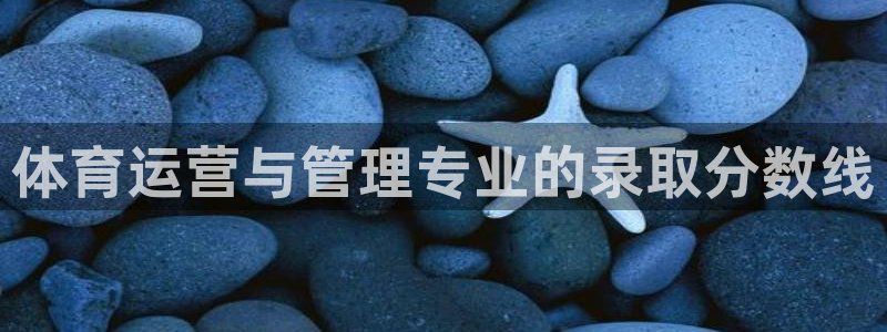 必一体育官方app下