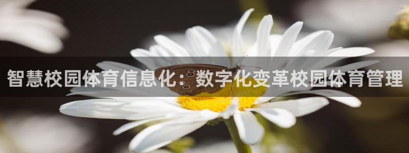 必一体育官网网址：智