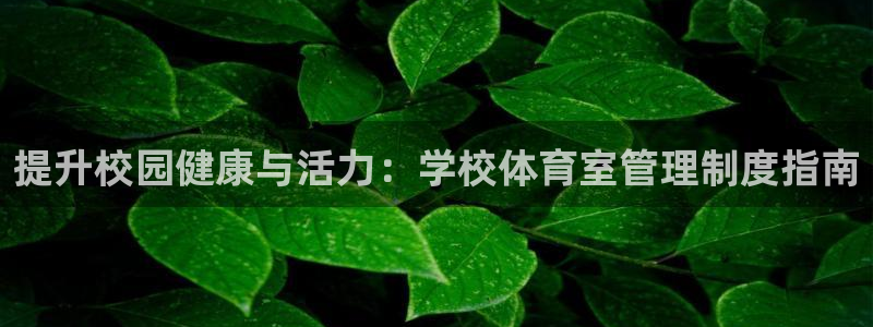 必一体育登录：提升校