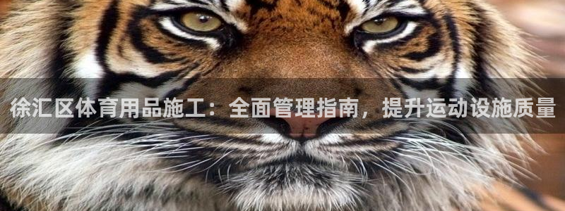 Bsport体育必一