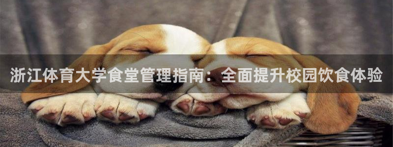 必一体育运动平台官网