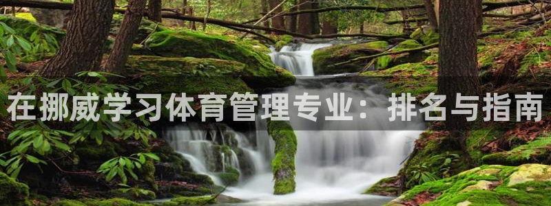 必一运动 b 体育素