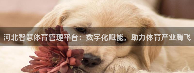 必一体育app官方正