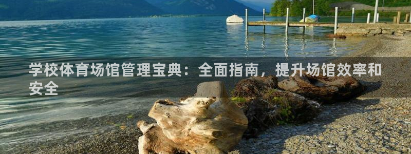 必一运动 b 体育素
