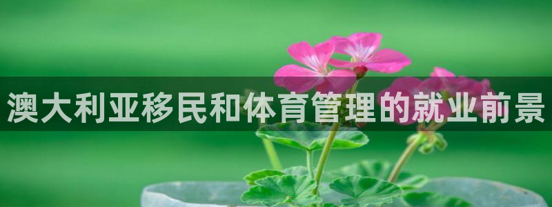 必一体育运动平台官网