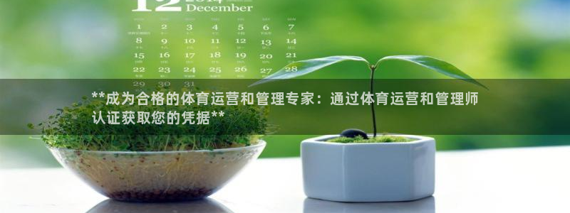 必一体育流水线是什么