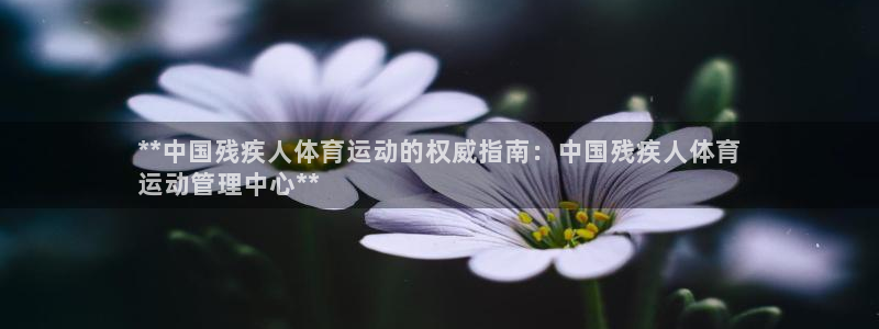 必一体育app官方网
