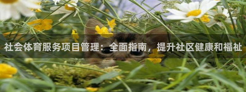 b体育必一下载：社会