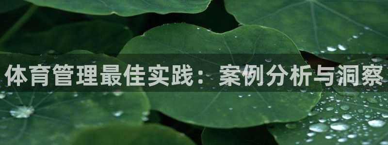 必一体育sport官