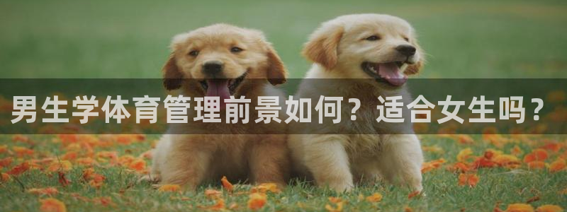 必一体育官网入口：男