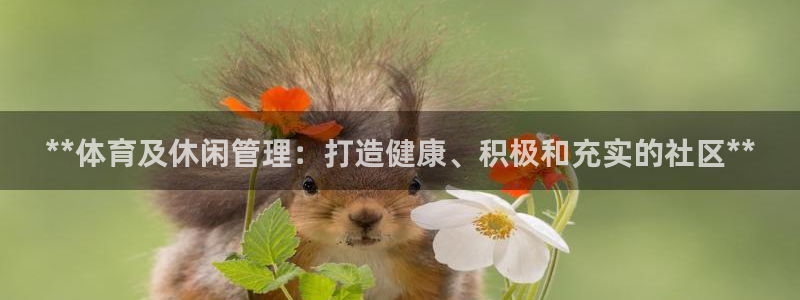 必一体育流水线是什么