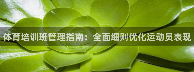 必一体育登录：体育培