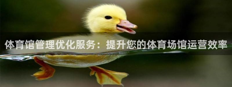必一体育秀给网：体育