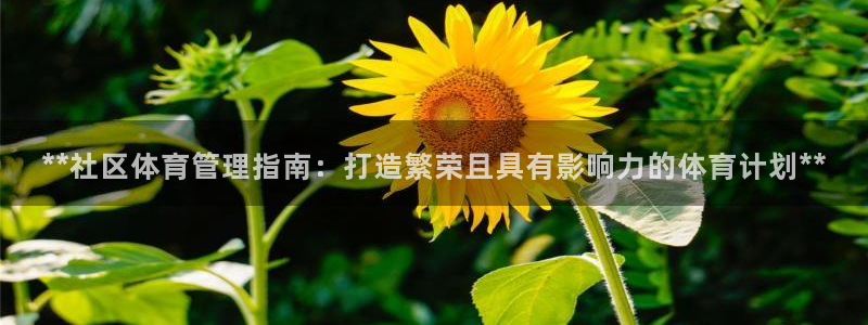 必一体育app官方：