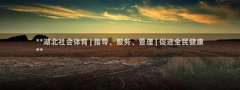 b体育必一下载：**