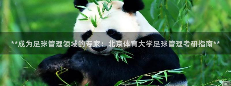 必一体育运动app下