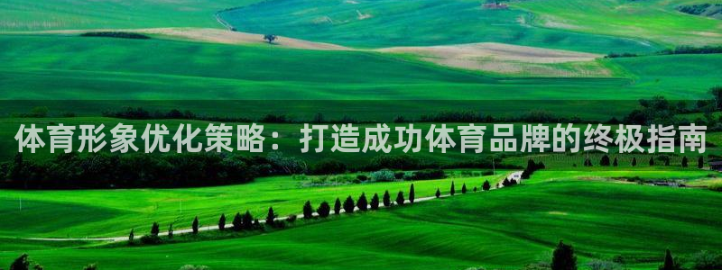 Bsport体育必一