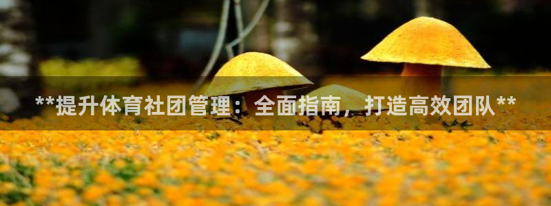 必一体育app下载装