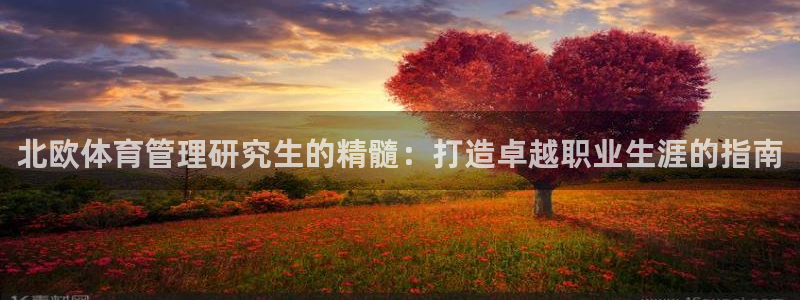 b体育官网下载入口a
