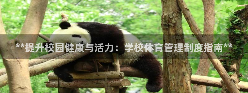 必一运动官网装机吧：