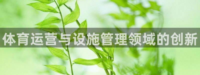 b体育必一运动网页版