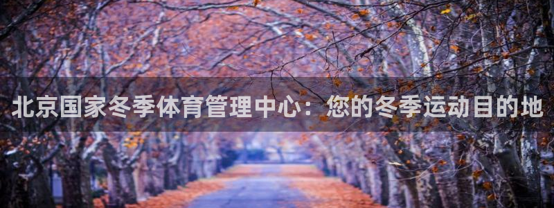 必一运动B-Spor