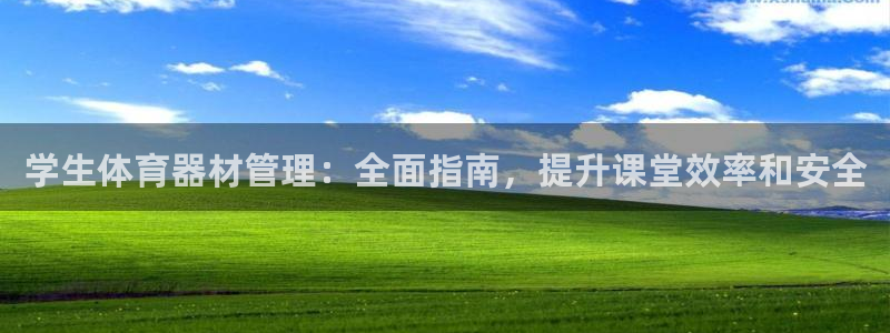 必一体育sportB