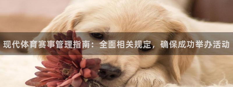 Bsport体育必一